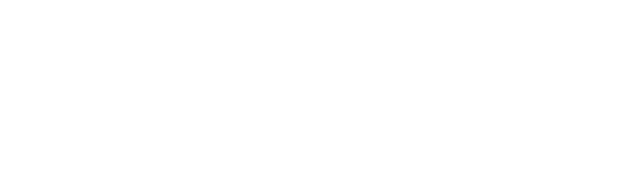 Lunar Home & Commercial Inspections